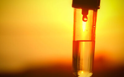 IV Therapy: An Essential Guide