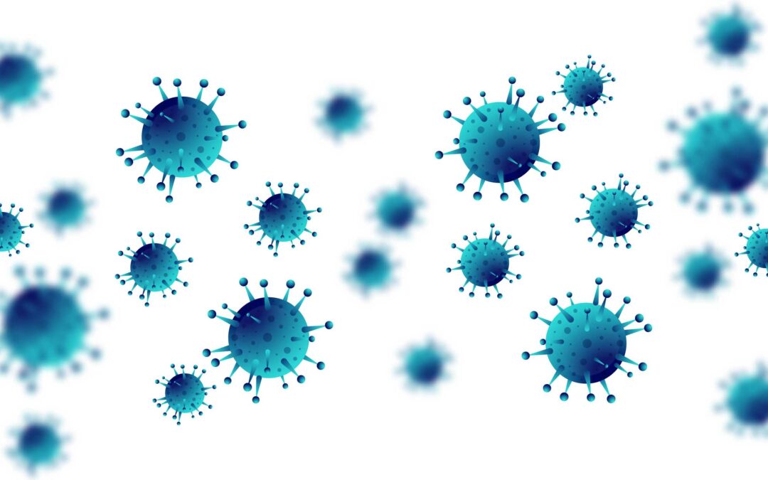 Help your body defend itself against the 2020 viruses!