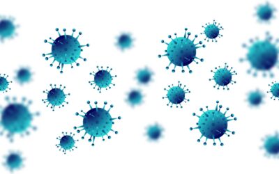 Help your body defend itself against the 2020 viruses!