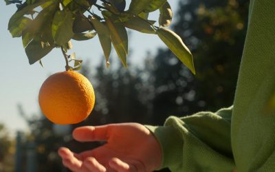 From Energy to Immunity: How a Vitamin C Infusion Delivers More