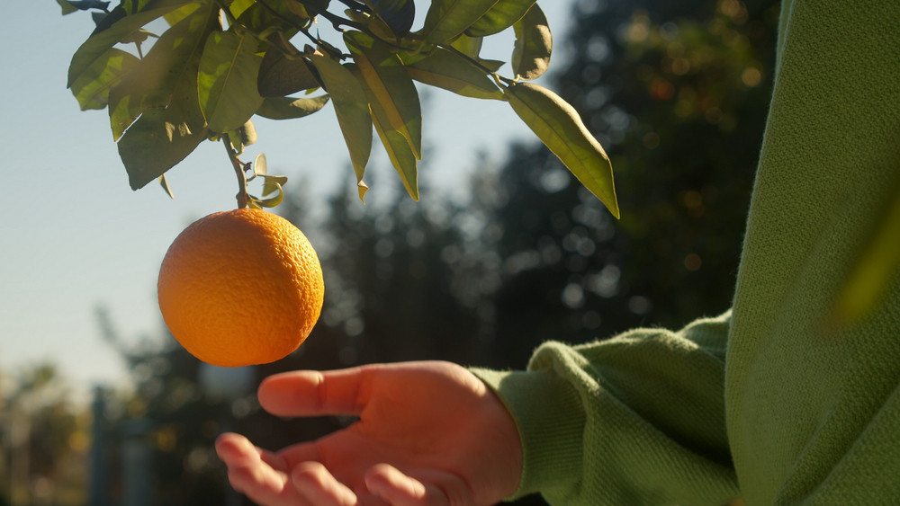 From Energy to Immunity: How a Vitamin C Infusion Delivers More